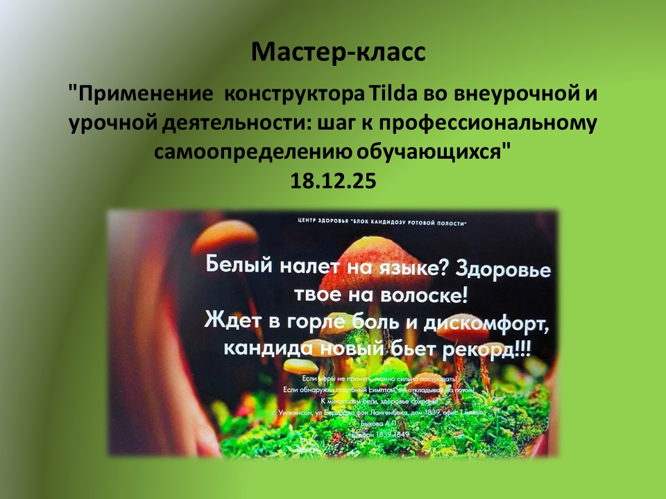 18.12.2026 мастер-класс «Применение конструктора Tilda во внеурочной и урочной деятельности: шаг к профессиональному самоопределению обучающихся»